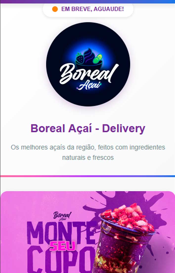 Website desenvolvido